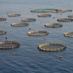 aquaculture cages greece